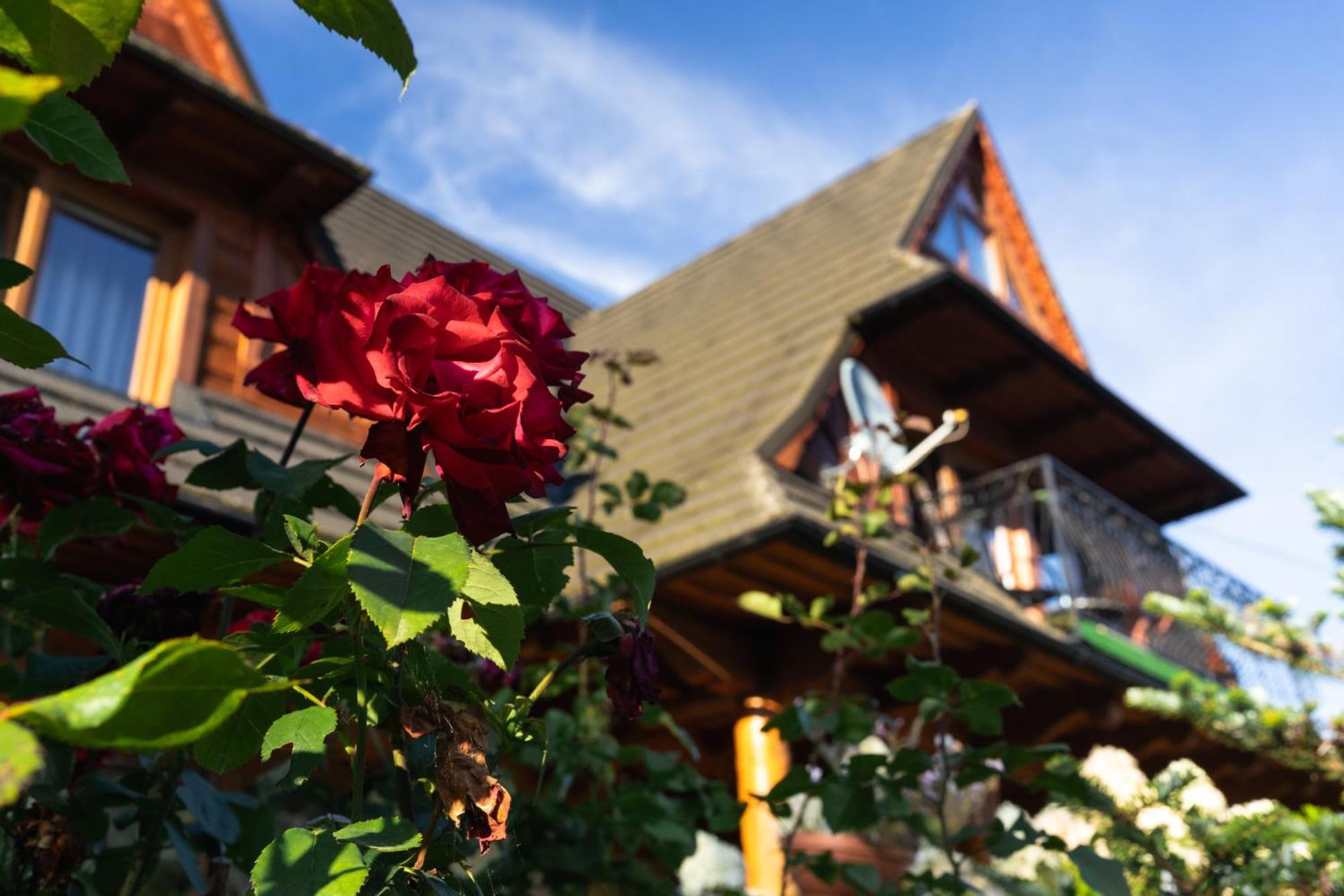 Bialasowka Kościelisko Exteriér fotografie